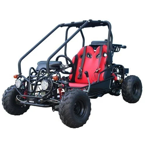 Taotao GK110 Kids Gas Go Kart Dune Buggys.
