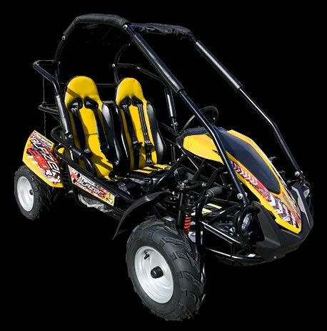 TrailMaster Blazer 200R Mid Go- Karts.