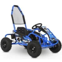 Interceptor Kids Gas Powered Go Karts.