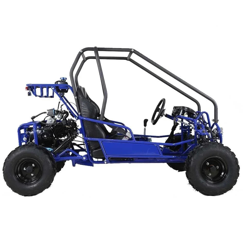 Taotao GK110 Kids Gas Go Kart Dune Buggys.