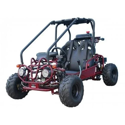 Taotao GK110 Kids Gas Go Kart Dune Buggys.