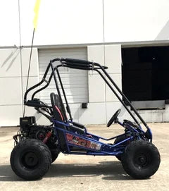 Trailmaster Mini XRX+ 2- Seater GO-KART EAGLE SERIES 163cc Blues.